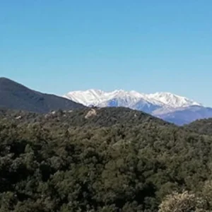 Explore Pirinexus Gravel Self-Guided for 6 days with Eat Sleep Cycle and discover unforgettable experiences - Photo 3