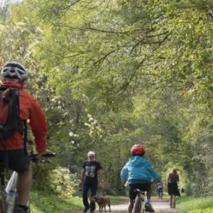 Explore Pirinexus Gravel Self-Guided for 6 days with Eat Sleep Cycle and discover unforgettable experiences - Photo 5