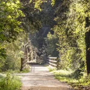 Explore Pirinexus Gravel Self-Guided for 6 days with Eat Sleep Cycle and discover unforgettable experiences - Photo 8