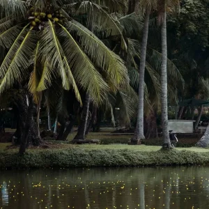 Explore Glide The Nile: 4-Day Dahabiya Nile Cruise Aswan To Luxor for 4 days with Experience Egypt Tours and discover unforgettable experiences - Photo 10