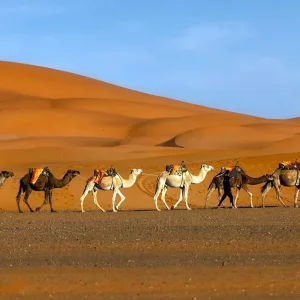 Explore 3-Days Tour From Marrakech To Merzouga Dunes & Luxury Desert Camp for 3 days with Explore Morocco Journeys and discover unforgettable experiences - Photo 5