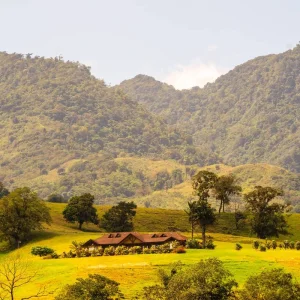 Explore Classic Costa Rica for 15 days with Intrepid Travel and discover unforgettable experiences - Photo 2