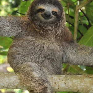 Explore Classic Costa Rica for 15 days with Intrepid Travel and discover unforgettable experiences - Photo 9