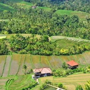 Explore 9 Days of Bali Adventure - Private Tour for 9 days with Realistic Asia and discover unforgettable experiences - Photo 3