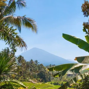 Explore 9 Days of Bali Adventure - Private Tour for 9 days with Realistic Asia and discover unforgettable experiences - Photo 5