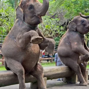 Explore 10 Days in Bali Dreams - Private Tour for 10 days with Realistic Asia and discover unforgettable experiences - Photo 10