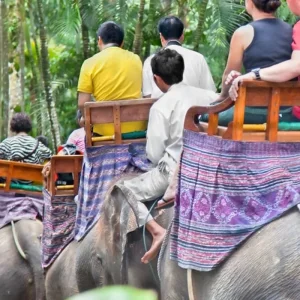 Explore 10 Days in Bali Dreams - Private Tour for 10 days with Realistic Asia and discover unforgettable experiences - Photo 11