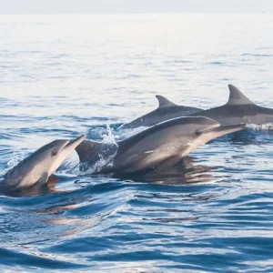 Explore 7 Days in Bali Paradise for 7 days with Realistic Asia and discover unforgettable experiences - Photo 11