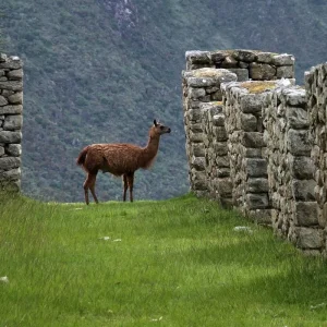 Explore Perú: Cusco - Capital of the Inca Empire for 5 days with Receptivo Aborigen Tours and discover unforgettable experiences - Photo 9