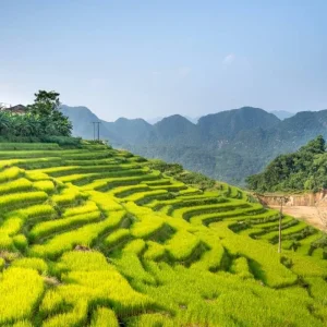 Explore The Ultimate Vietnam Expedition in 20 Days for 20 days with Responsible Asia and discover unforgettable experiences - Photo 9