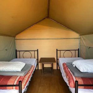 Explore Uluru Tour with Kata Tjuta & Kings Canyon - Eco Tent (Alice Springs to Yulara) for 4 days with Adventure Tours Australia and discover unforgettable experiences - Photo 4