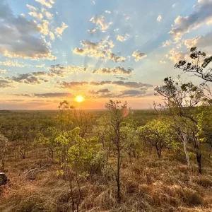 Explore Kakadu Tour with Arnhem Land, Katherine & Litchfield for 5 days with Adventure Tours Australia and discover unforgettable experiences - Photo 4