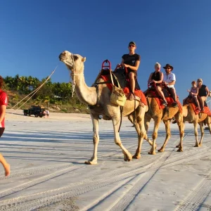 Explore Perth to Darwin Tour with Ningaloo Reef, Exmouth, Karijini & The Kimberley for 24 days with Adventure Tours Australia and discover unforgettable experiences - Photo 4