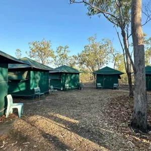 Explore Kakadu Tour with Arnhem Land, Katherine & Litchfield for 5 days with Adventure Tours Australia and discover unforgettable experiences - Photo 5