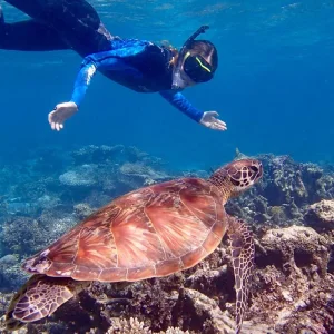 Explore Perth to Darwin Tour with Ningaloo Reef, Exmouth, Karijini & The Kimberley for 24 days with Adventure Tours Australia and discover unforgettable experiences - Photo 5