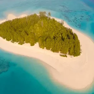 Explore From Kendwa, Zanzibar: Discover The Guided 1 Full-Day Mnemba Island Boat Trip & Dolphin Snorkeling Adventure for 1 days with Africa Natural Tours and discover unforgettable experiences - Photo 4