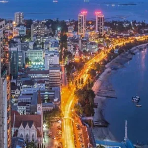 Explore Discover the Beauty of Vibrant Dar es Salaam City on an Exclusive 1-Day Private Tour from Nungwi (Zanzibar), Tanzania for 2 days with Africa Natural Tours and discover unforgettable experiences - Photo 4