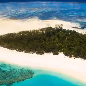 Explore From Kendwa, Zanzibar: Discover The Guided 1 Full-Day Mnemba Island Boat Trip & Dolphin Snorkeling Adventure for 1 days with Africa Natural Tours and discover unforgettable experiences - Photo 5
