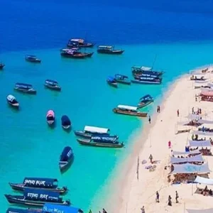 Explore Discover The Most Beautiful Nakupenda Sandbank on a Tailor-Made 1-Day Private Tour from Nungwi, Zanzibar for 1 days with Africa Natural Tours and discover unforgettable experiences - Photo 4