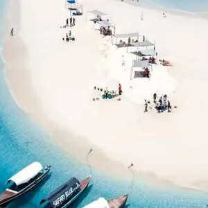 Explore Discover The Most Beautiful Nakupenda Sandbank on a Tailor-Made 1-Day Private Tour from Nungwi, Zanzibar for 1 days with Africa Natural Tours and discover unforgettable experiences - Photo 6