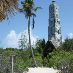 Explore Explore The Best of  The Best 1 Day Private Chumbe Island Coral Park Tour in Zanzibar from Nungwi for 1 days with Africa Natural Tours and discover unforgettable experiences - Photo 6