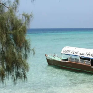 Explore Explore The Best of  The Best 1 Day Private Chumbe Island Coral Park Tour in Zanzibar from Nungwi for 1 days with Africa Natural Tours and discover unforgettable experiences - Photo 7