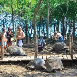 Explore The Best High-End 1/2 Day Private Prison Island Tour in Zanzibar from Kendwa | The Most Exclusive and Luxurious Prison Island Tour Experience for 1 days with Africa Natural Tours and discover unforgettable experiences - Photo 4