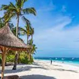 Explore Discover The Best-rated  1/2 Day Private Kendwa Beach Adventure in Zanzibar from Zanzibar Airport for 1 days with Africa Natural Tours and discover unforgettable experiences - Photo 5