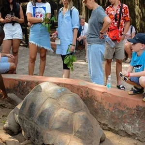 Explore The Best High-End 1/2 Day Private Prison Island Tour in Zanzibar from Kendwa | The Most Exclusive and Luxurious Prison Island Tour Experience for 1 days with Africa Natural Tours and discover unforgettable experiences - Photo 5