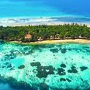 Explore The Best High-End 1/2 Day Private Prison Island Tour in Zanzibar from Kendwa | The Most Exclusive and Luxurious Prison Island Tour Experience for 1 days with Africa Natural Tours and discover unforgettable experiences - Photo 6