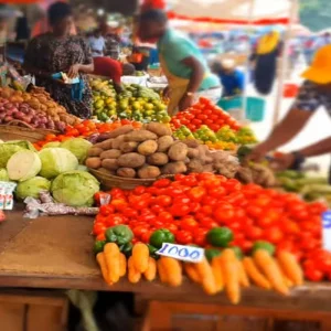 Explore Discover The Best of 1 Day Private City, Spice & Prison Island Tour Package in Zanzibar from Mtende for 1 days with Africa Natural Tours and discover unforgettable experiences - Photo 6