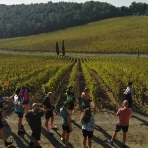 Explore Bike Across Tuscany - Guided for 8 days with BikesPlus Travel and discover unforgettable experiences - Photo 6