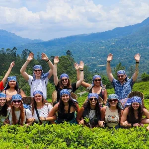 Explore Best of Sri Lanka - Feel Free Travel for 12 days with Feel Free Travel and discover unforgettable experiences - Photo 11