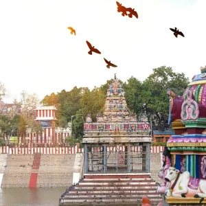 Explore Highlights of Tamil Nadu - South India for 11 days with GeTS Holidays and discover unforgettable experiences - Photo 6