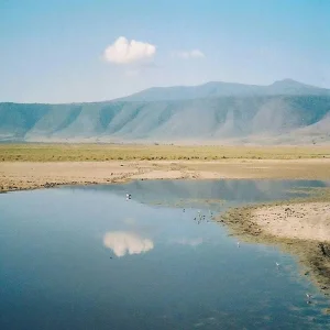 Explore The Most Popular Lake Eyasi Day Trip from Kilimanjaro Airport | The Perfect Day Trip from Kilimanjaro Airport for 1 days with Africa Natural Tours and discover unforgettable experiences - Photo 4