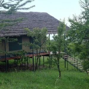 Explore Discover The Ultimate 8-Day African Safari in Kenya and Tanzania at Most Affordable Prices for 8 days with Africa Natural Tours and discover unforgettable experiences - Photo 4