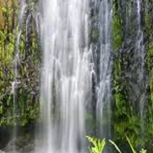 Explore From Kilimanjaro Airport to the Iconic Materuni:  Discover the Best of Materuni Waterfalls & Village Day Trip with Coffee Tour for 1 days with Africa Natural Tours and discover unforgettable experiences - Photo 6