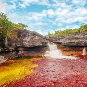 Explore 3-5 Days Caño Cristales, 7 Colored River for 5 days with BnB Colombia Tours and discover unforgettable experiences - Photo 7