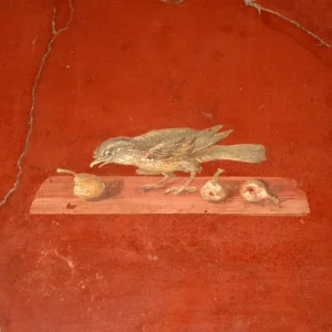 Explore Pompeii, Herculaneum & Paestum Tour for 8 days with Campania Overland and discover unforgettable experiences - Photo 2