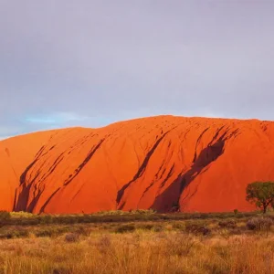 Explore Red Centre Highlights (Superior With B B Q, Short Break) for 4 days with AAT Kings and discover unforgettable experiences - Photo 2