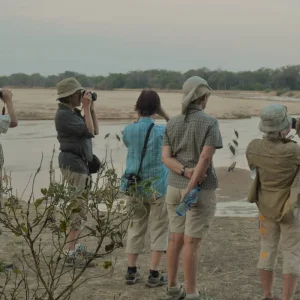 Explore Zambia - Walking Safari with Batmigration in October for 15 days with Adventure Purists Ltd. and discover unforgettable experiences - Photo 11