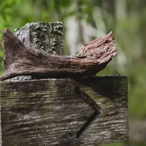 Explore Self-drive Tour To The Pure Nature In North Karelia for 5 days with Aksyt Ammat Ltd and discover unforgettable experiences - Photo 8