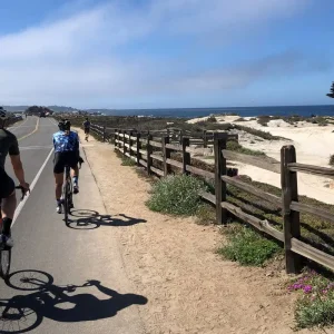 Explore Big Sur Coast Bike Tour for 7 days with Bicycle Adventures and discover unforgettable experiences - Photo 2