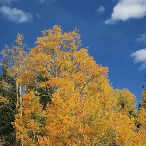 Explore Bryce and Zion National Parks Multisport Tour for 6 days with Bicycle Adventures and discover unforgettable experiences - Photo 2