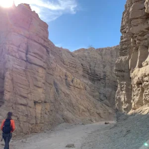 Explore Joshua Tree & Anza Borrego Multisport Tour for 6 days with Bicycle Adventures and discover unforgettable experiences - Photo 3