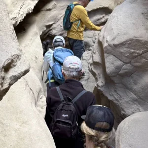 Explore Joshua Tree & Anza Borrego Multisport Tour for 6 days with Bicycle Adventures and discover unforgettable experiences - Photo 6