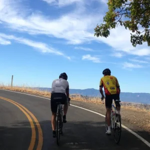 Explore Big Sur Coast Bike Tour for 7 days with Bicycle Adventures and discover unforgettable experiences - Photo 7