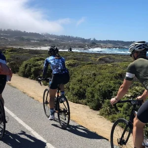 Explore Big Sur Coast Bike Tour for 7 days with Bicycle Adventures and discover unforgettable experiences - Photo 9