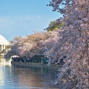 Explore Picture gallery of the East for 17 days with DERTOUR and discover unforgettable experiences - Photo 5