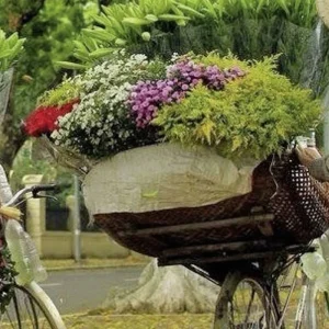 Explore Vietnam Classic (group tour) for 8 days with DERTOUR and discover unforgettable experiences - Photo 9